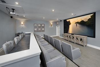 15 Seat movie theatre